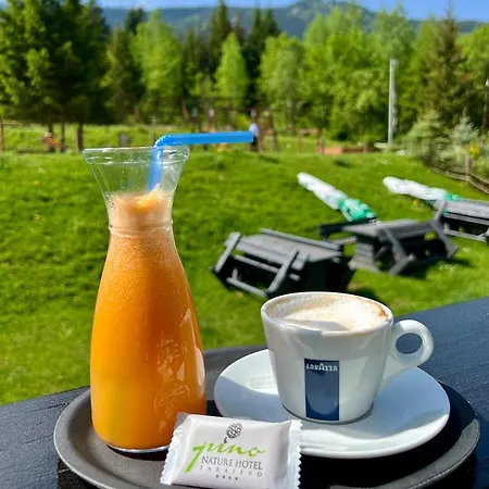 Pino Nature Hotel, Bw Premier Collection Saraievo