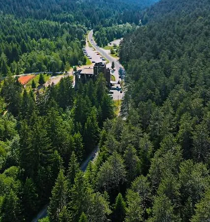 Hotel Pino Nature Hotel, Bw Premier Collection 4*